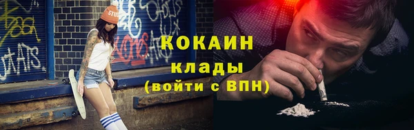 дживик Горняк