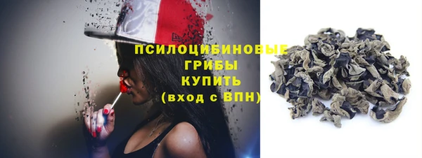 сатива Вязьма