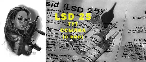 сатива Вязьма