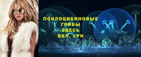 mdpv Волоколамск