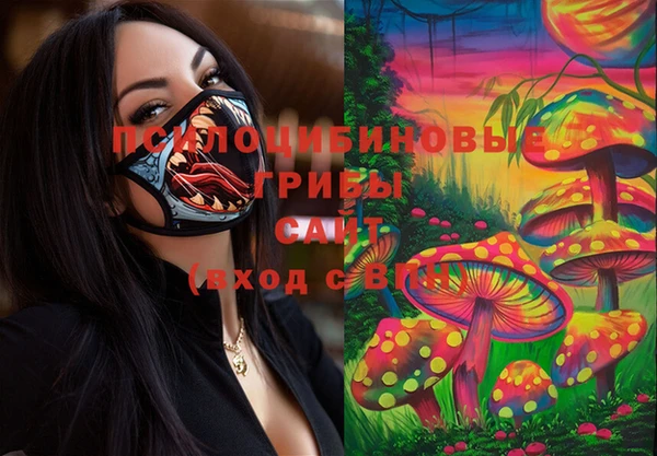 сатива Вязьма