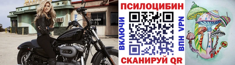 Псилоцибиновые грибы Cubensis  как найти закладки  Змеиногорск 